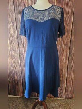 NWT Avenue Iris Eyelash Lace Top Fit And Flare Dress Plus Size 20W